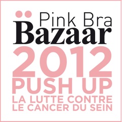 logo Pink Bra Bazaar